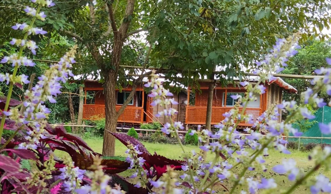 Tiger'S Wood Glamping & Eco-Retreat Hotel Kāziranga Eksteriør billede