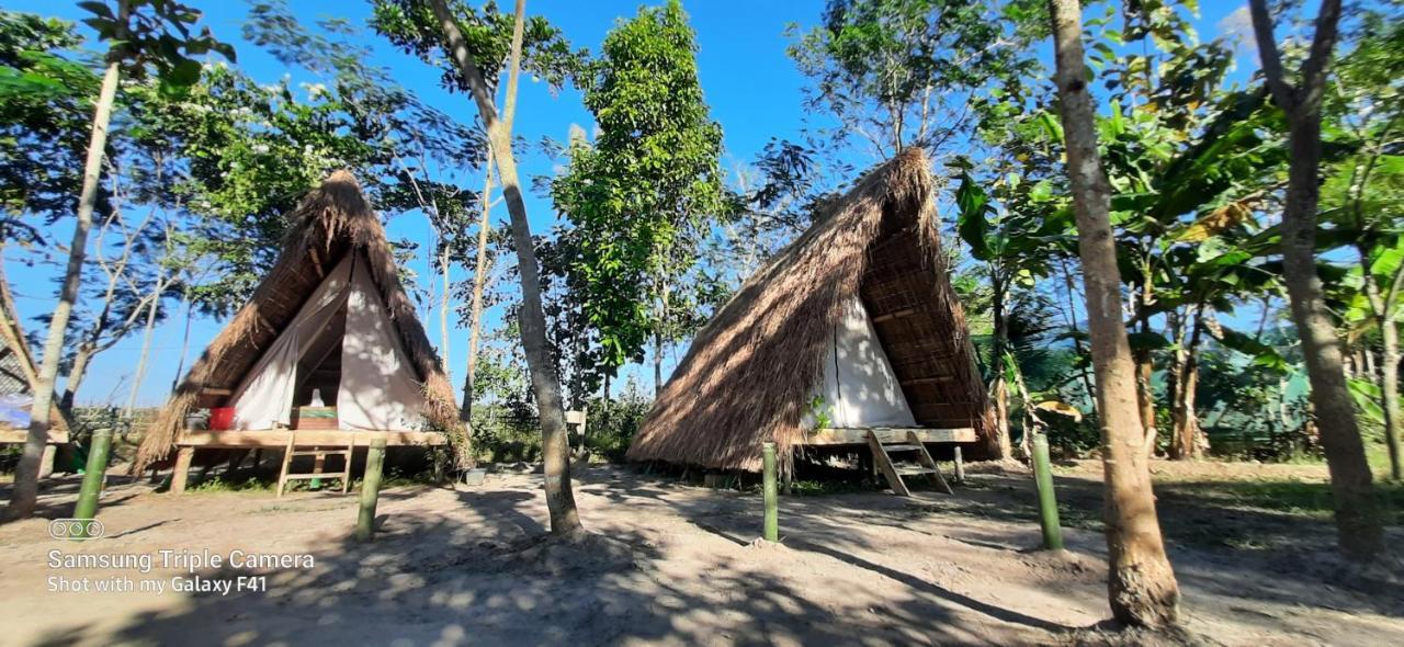 Tiger'S Wood Glamping & Eco-Retreat Hotel Kāziranga Eksteriør billede