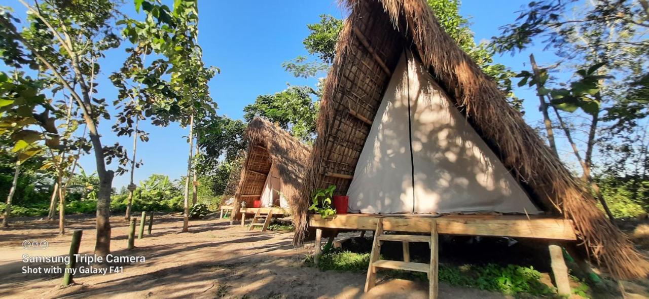 Tiger'S Wood Glamping & Eco-Retreat Hotel Kāziranga Eksteriør billede