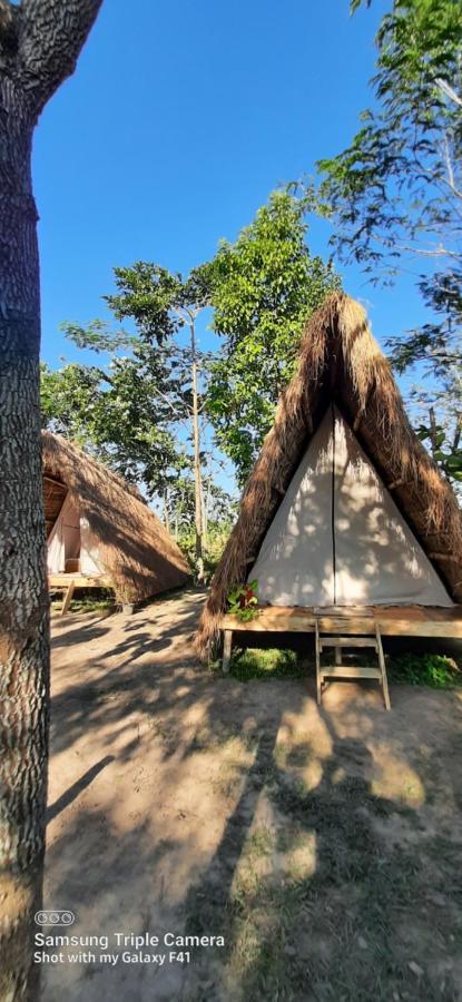 Tiger'S Wood Glamping & Eco-Retreat Hotel Kāziranga Eksteriør billede