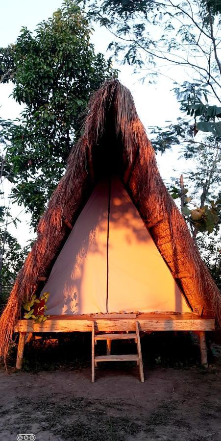 Tiger'S Wood Glamping & Eco-Retreat Hotel Kāziranga Eksteriør billede